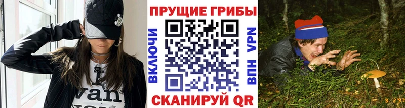 сайты даркнета официальный сайт  Пучеж  Псилоцибиновые грибы мицелий 